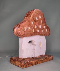 Pilz braun 1