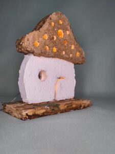 Pilz ocker 2