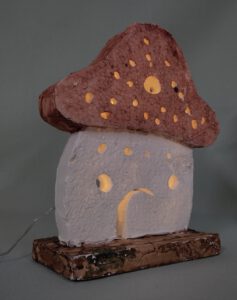 Pilz rotbraun1